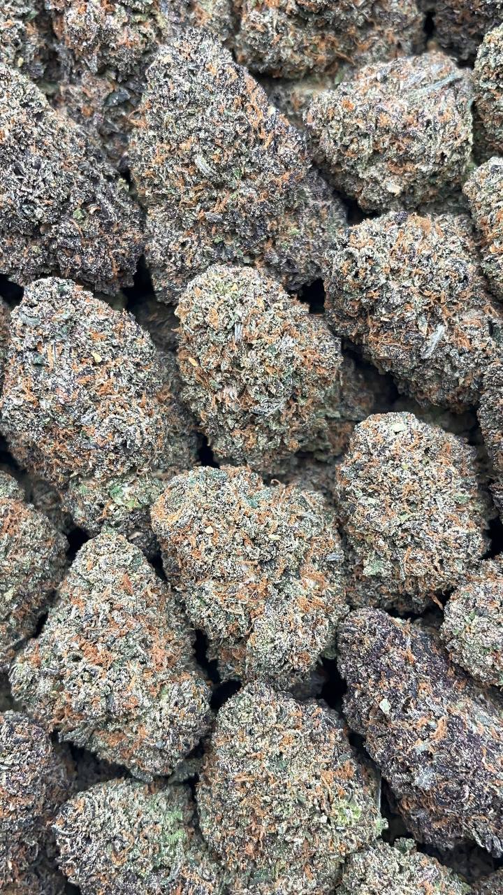 Donny Burger - PK380