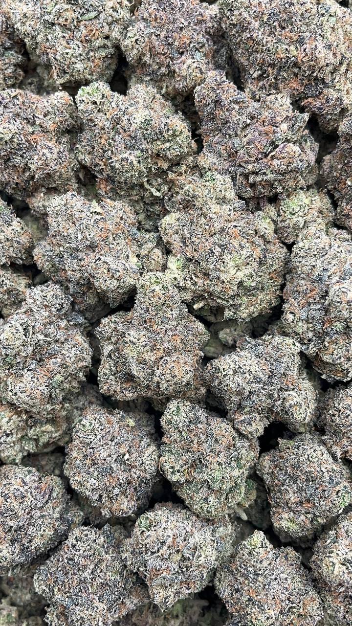 Biskante - PK419 (Licensed)