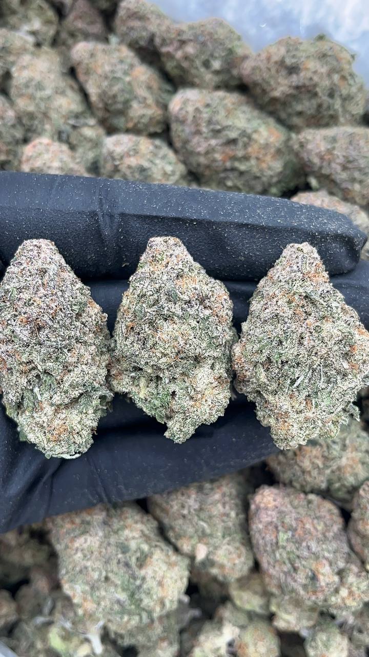 Miracle Cookies - PK618