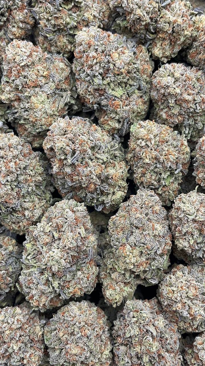 Grape Soda - PK635