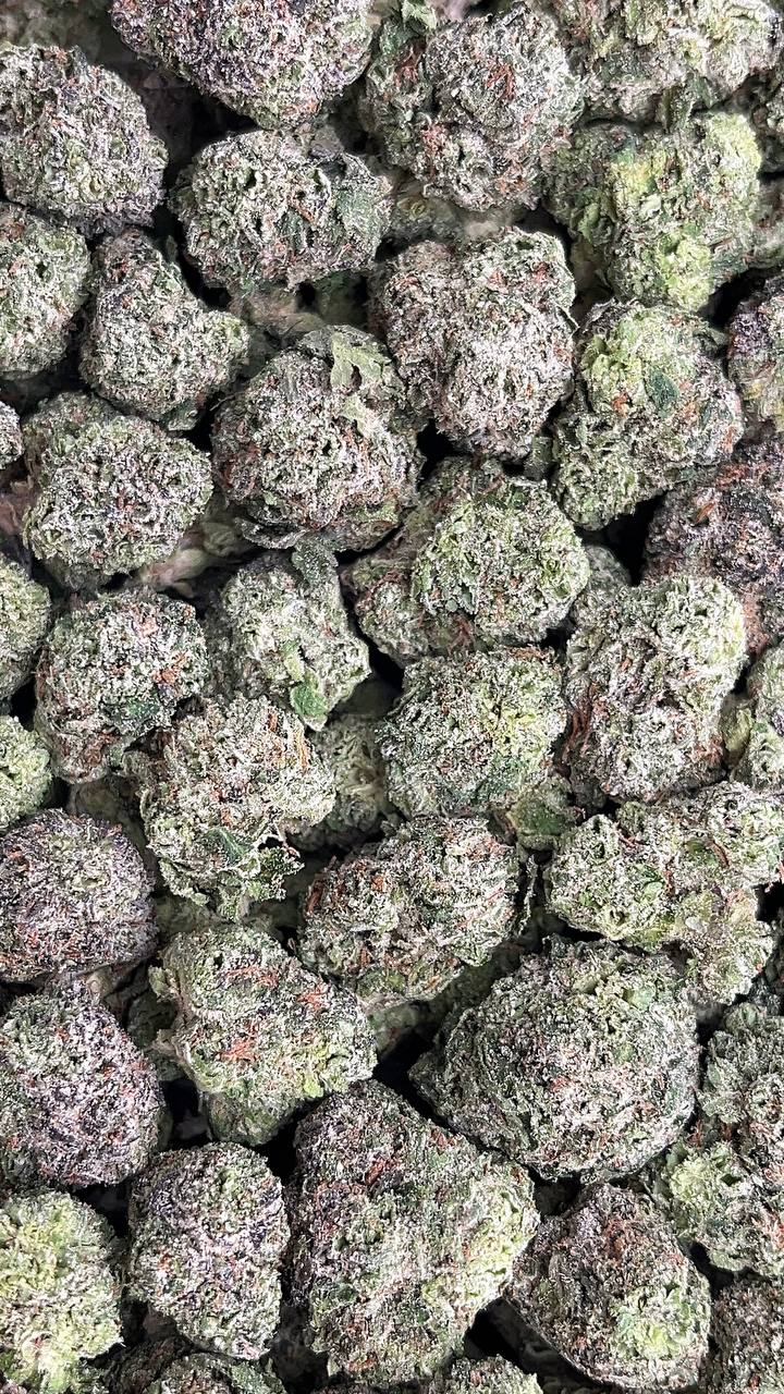 Purple Unicorn Smalls - PK658