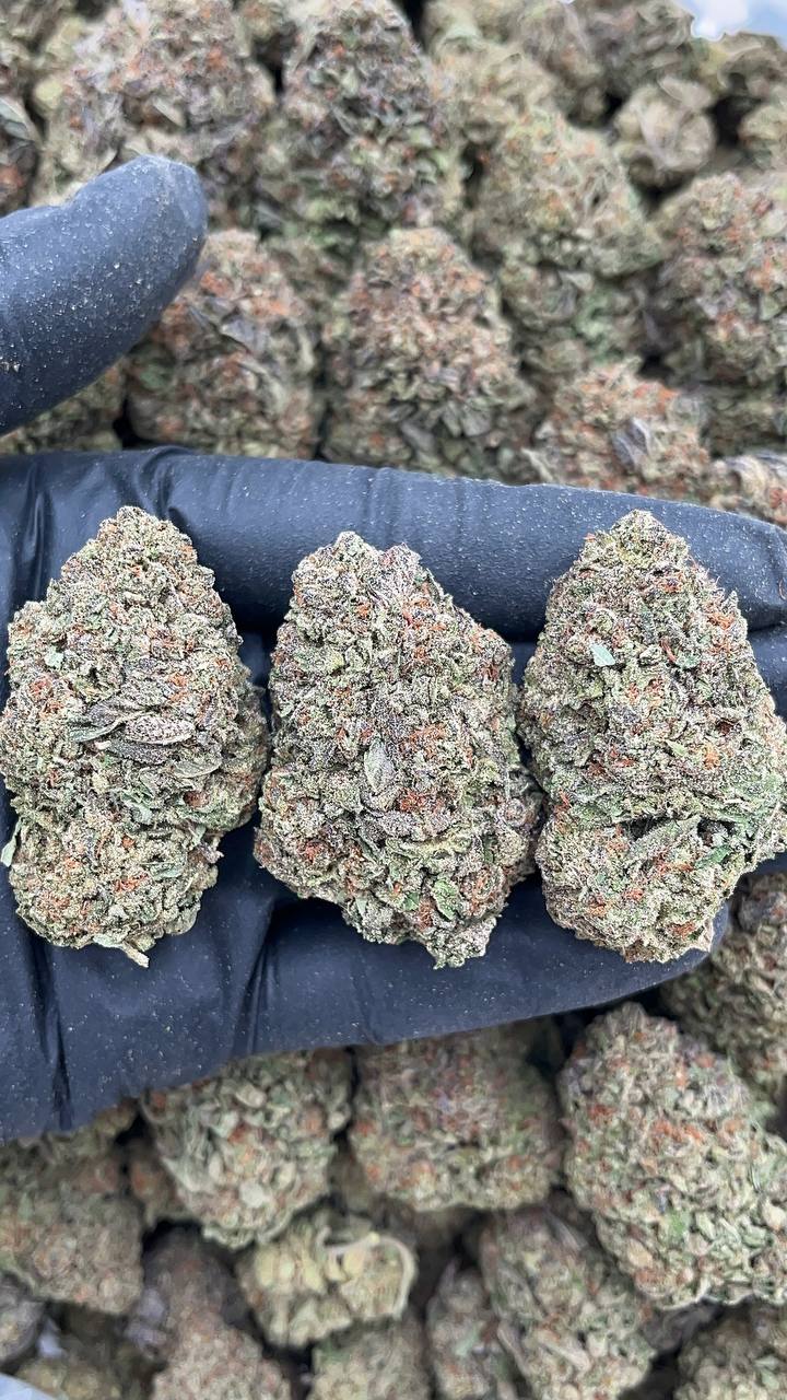 Wedding Cake - PK662