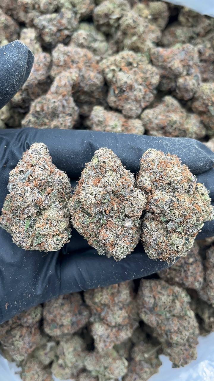 Super Silver Haze - PK650