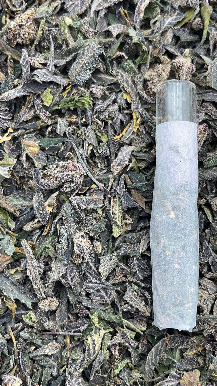 🔥Special🔥 Organic Exotic Shakes - PK478