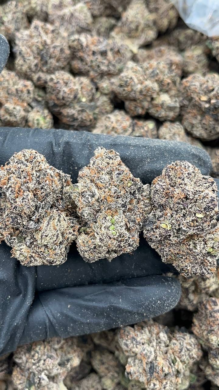 White Cherry Gushers - PK626