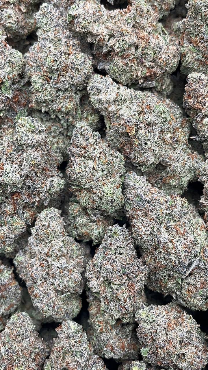 Cookie Monster - PK216