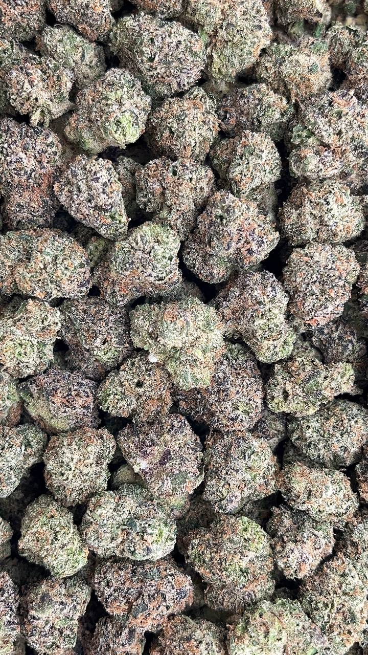 Tangie Berry Smalls - PK212