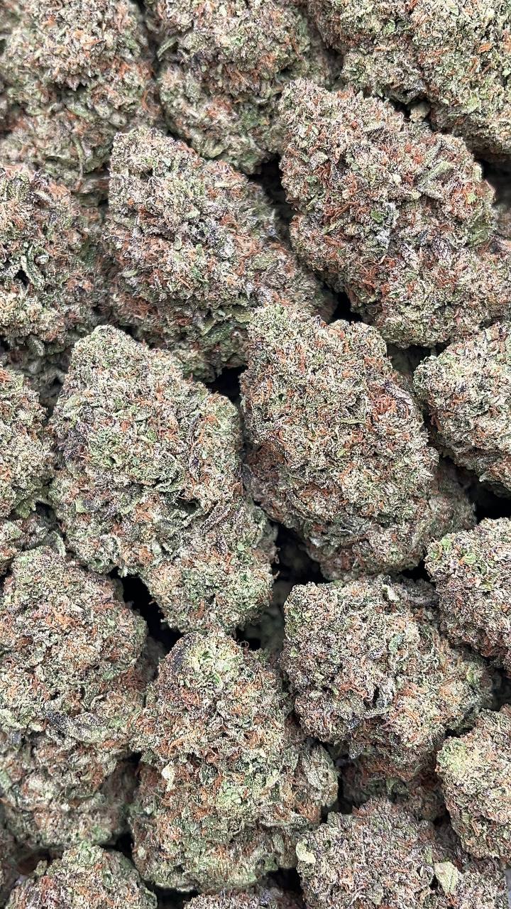 Lemon Meringue - PK180